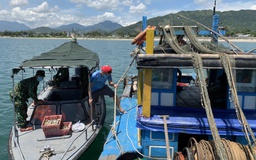 Đà Nẵng phong tỏa: Xử phạt thuyền trưởng đưa tàu cá đi đánh bắt trái phép