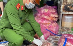 Đà Nẵng: Hai lò đặc sản nem chua rán, gà ủ muối không đảm bảo vệ sinh