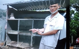 Đà Nẵng: Truy xét nhóm trộm gà liên tỉnh