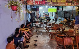 Đà Nẵng: Đột kích quán cà phê, triệt xóa ổ cá độ bóng đá mùa World Cup