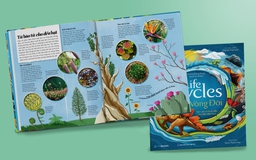 Sách tranh 'Vòng đời' - bách khoa thư bắt mắt về thế giới tự nhiên