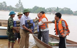 Yêu thương là cội nguồn của cái đẹp