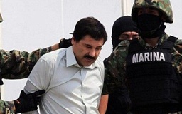 Mexico bắt nghi phạm dàn xếp vụ vượt ngục của trùm ma túy El Chapo