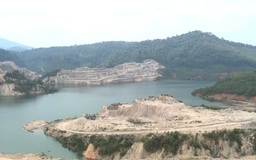 Kon Tum: Thủy điện tích nước khiến 25 ha rừng bị chết