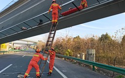 Sập cầu vượt cao tốc ở Trung Quốc, nhiều người thương vong