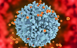 Tìm thấy biến thể HIV độc lực cao có hơn 500 đột biến