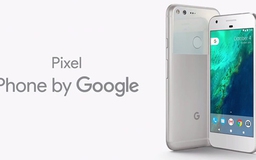 Google thay thế nhãn hiệu điện thoại Nexus bằng Pixel
