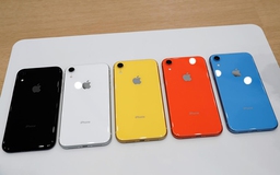 iPhone Xr 2019 sẽ có 2 màu mới thay thế cam và xanh