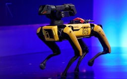 Hyundai muốn thâu tóm Boston Dynamics với giá 1 tỉ USD