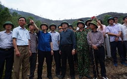 Phó thủ tướng: Chưa dùng máy bay chữa cháy rừng ở Hà Tĩnh vì không khả thi