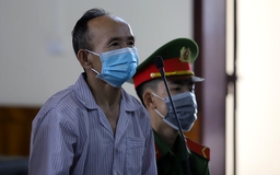 Hà Tĩnh: Dùng búa đinh đánh con dâu và cháu nội, lĩnh án 16 năm tù