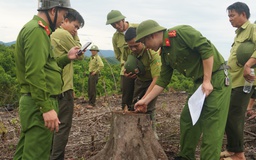 Hà Tĩnh: Điều tra vụ cán bộ Khu bảo tồn Kẻ Gỗ thuê người phá rừng