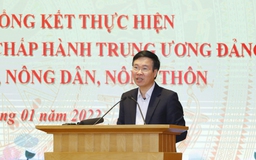 ‘Nông sản Việt Nam phải được đặt hàng chứ không phải chờ giải cứu’