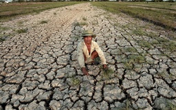 Biến đổi khí hậu là thách thức cấp bách nhất của nông nghiệp ASEAN