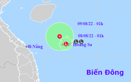 Tin tức thời tiết hôm nay 8.8.2022: Vùng áp thấp áp sát Hoàng Sa, gió giật cấp 8