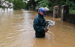 Gần 70.000 ha lúa, hoa màu ngập úng, nhiều địa phương cấp tập bơm tiêu nước