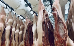 Dự báo quý 3 Việt Nam cân bằng được cung cầu thịt lợn
