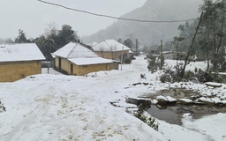 Lào Cai: Tuyết rơi dày đặc Y Tý, nhiều gia súc chết rét ở Sa Pa