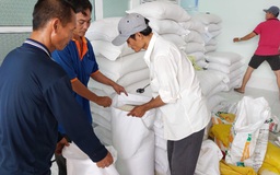 Hỗ trợ gần 4.000 tấn gạo cho hơn 261.000 người thuộc hộ nghèo, cận nghèo