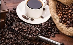 Ngày mới với tin tức sức khỏe: Say cà phê, cách khắc phục là đây!