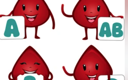 Ngày mới với tin tức sức khỏe: Truyền nhầm nhóm máu, cơ thể phản ứng thế nào?