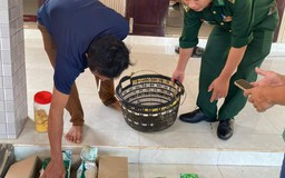 Quảng Trị: Ngư dân nhặt 7 gói ma túy trôi dạt trên biển