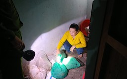 Giải cứu 4 con tê tê trong nhà trọ ở vùng biên Quảng Trị