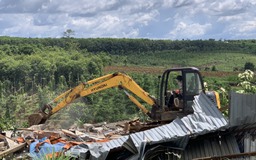 Đắk Nông: Chiếm 2,7 ha đất rừng xây nhà, trồng cây cà phê, bị phạt hơn 100 triệu đồng