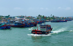 Năm 2050, nghề cá Việt Nam hiện đại tương đương các nước phát triển trên thế giới