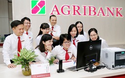 ‘Giỏi việc ngân hàng, đảm việc nhà’ - những đóa hồng Agribank tỏa sáng