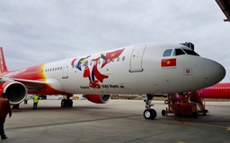 Ngắm tàu bay kỷ niệm 45 năm quan hệ Việt - Pháp của Vietjet trước ngày về