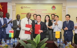 T&T Group dự kiến thu mua toàn bộ sản lượng hạt điều thô của Guinea Bissau