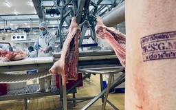 Bộ trưởng Nông nghiệp ‘khoe’ nhà máy giết mổ, chế biến thịt lợn nghìn tỉ