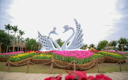 Lễ hội Xuân Ecopark: Điểm ‘check in’ cực chất ngay gần Hà Nội