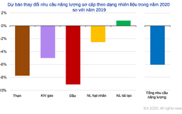 Năng lượng tái tạo - Hướng đầu tư hiệu quả cho doanh nghiệp phát triển bền vững