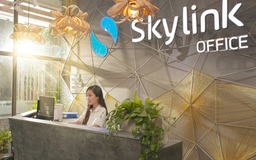 Skylink Group: Gã ‘tân binh’ với nhiều lợi thế khủng