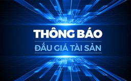 Thông báo đấu giá tài sản - Số: 162/TB-ĐGTS