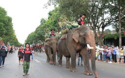 Voi thồ sầu riêng cùng du khách xuống phố trong lễ hội ở Đắk Lắk