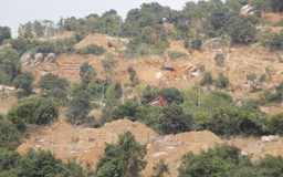 Bạt núi Sơn Trà: Xin ý kiến Thủ tướng rà soát thủ tục triển khai dự án