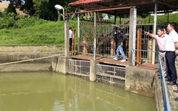 Đà Nẵng: Nước sông Cầu Đỏ nhiễm mặn kỷ lục, cung cấp nước sạch gặp khó
