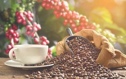 Cà phê làm tăng hay giảm nguy cơ đột quỵ?