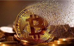 Giá Bitcoin đỏ sàn, người chơi bán tháo