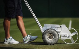 'Bật mí” cách chăm mặt sân cỏ của giải Wimbledon