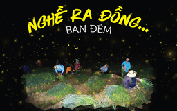 Nghề ra đồng… ban đêm