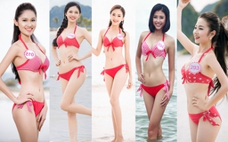 Ai sẽ đội vương miện 2,2 tỉ đồng của Hoa hậu Việt Nam 2016?