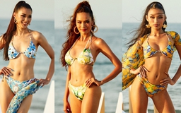 Vẻ nóng bỏng của Top 5 Người đẹp biển 'Hoa hậu Hoàn vũ Việt Nam'