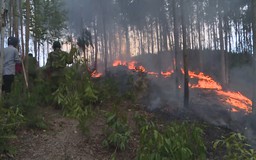 Phú Yên: 3 ngày xảy ra 4 vụ cháy rừng trong thời tiết nắng đổ lửa