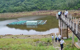 Bão số 9 đổ bộ, các hồ thủy lợi Phú Yên không tích nước, mở cửa tràn đón lũ