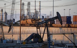Giá rẻ không làm giảm sản lượng dầu của Mỹ