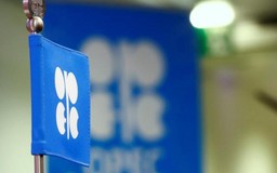 OPEC bơm thêm dầu bất chấp thỏa thuận hạ sản lượng